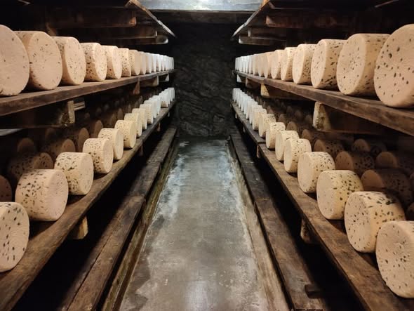 495271158_1264634581932931_4512422457835112698_n