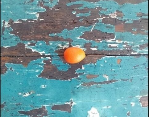 11e4051d-89b4-495d-b13b-5e1ad49d72db